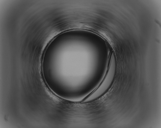 X0000091901136200709191232