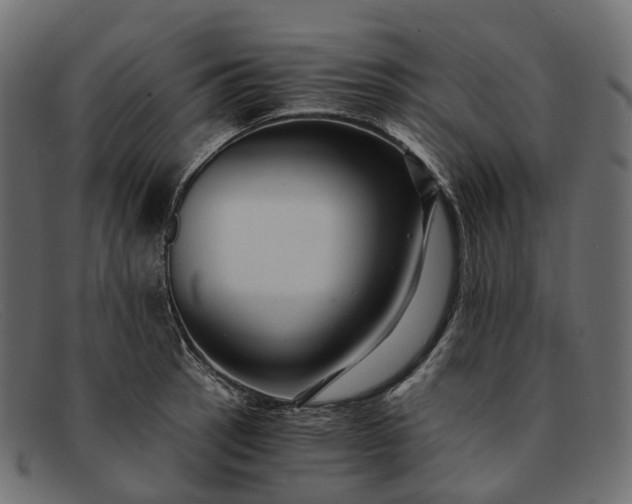 X0000091901137200709191232