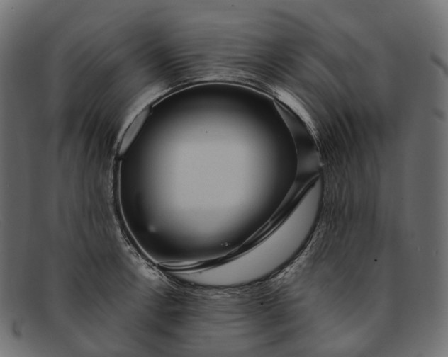 X0000091901138200709191232