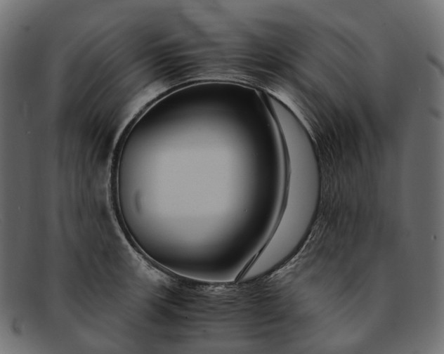 X0000091901139200709191232