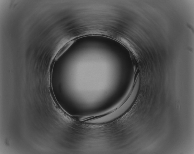 X0000091901140200709191232