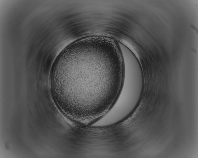 X0000091901141200709191232