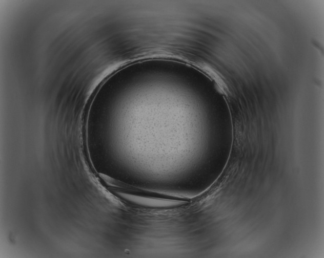 X0000091901142200709191232