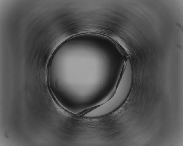 X0000091901143200709191232