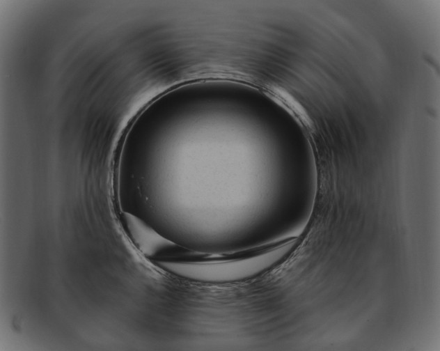 X0000091901144200709191232