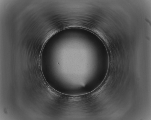 X0000091901145200709191232