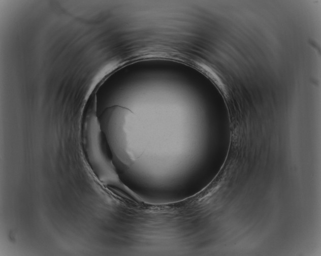 X0000091901146200709191232