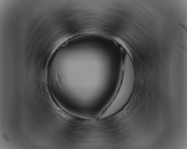 X0000091901147200709191232