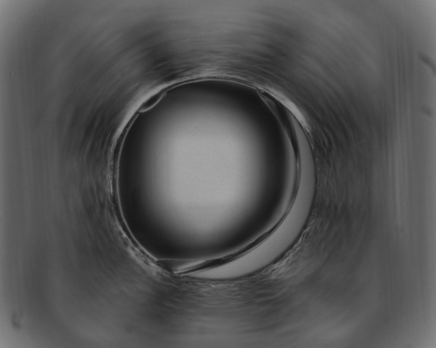 X0000091901148200709191232