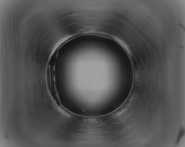 X0000091901149200709191232