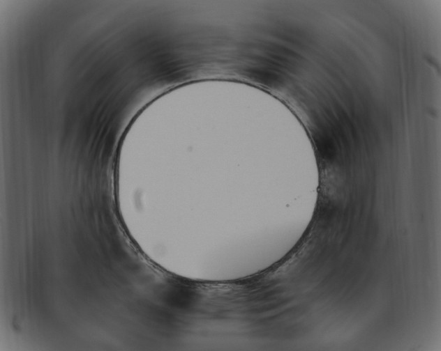 X0000091901150200709191232