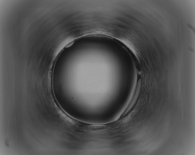 X0000091901151200709191232