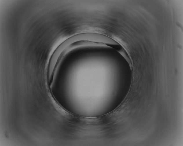 X0000091901152200709191232