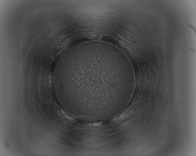 X0000091901154200709191231