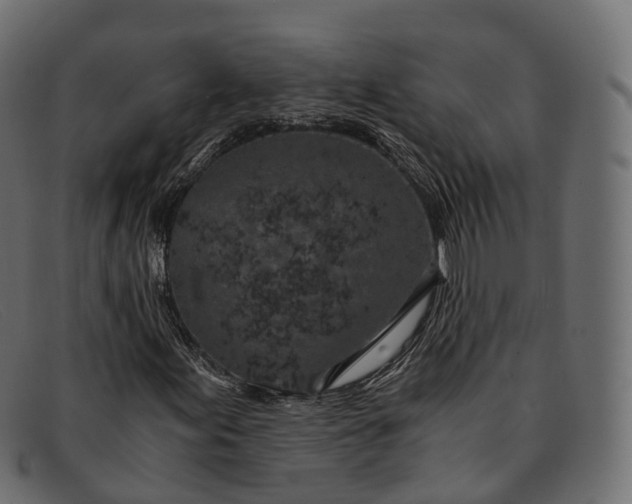 X0000091901155200709191231