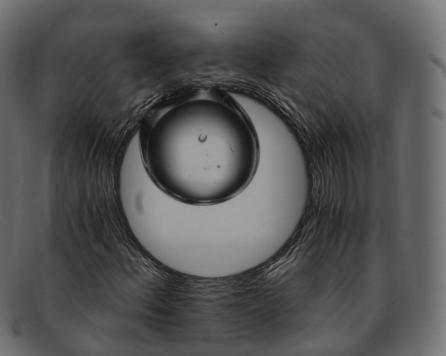 X0000091901156200709191231