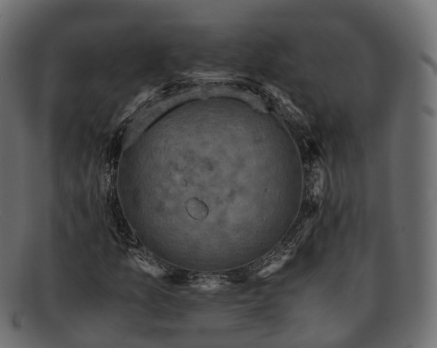 X0000091901157200709191231