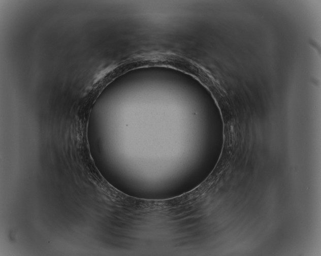 X0000091901158200709191231