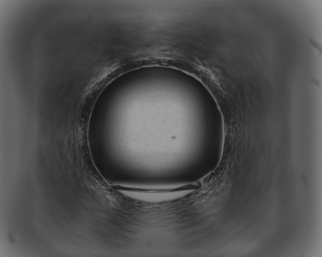 X0000091901159200709191231