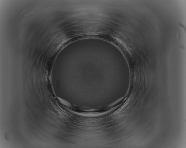 X0000091901161200709191231