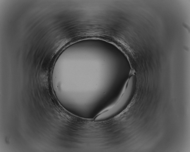 X0000091901162200709191231