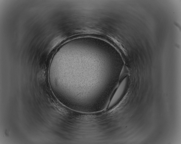 X0000091901163200709191231