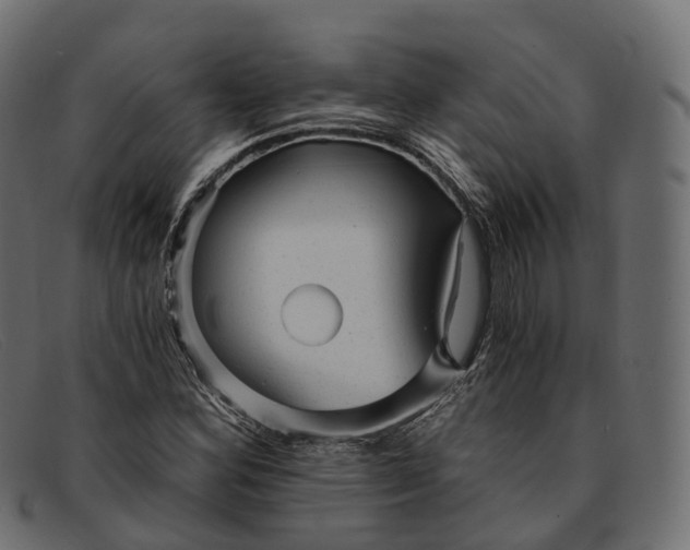 X0000091901164200709191231