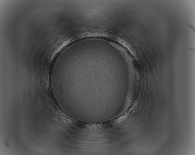 X0000091901165200709191231