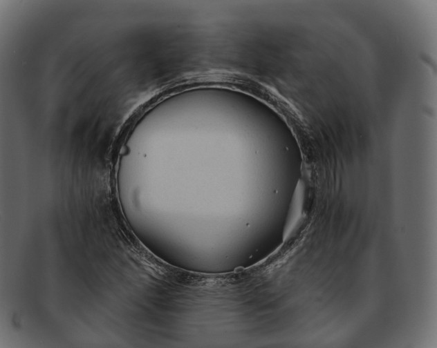 X0000091901166200709191231