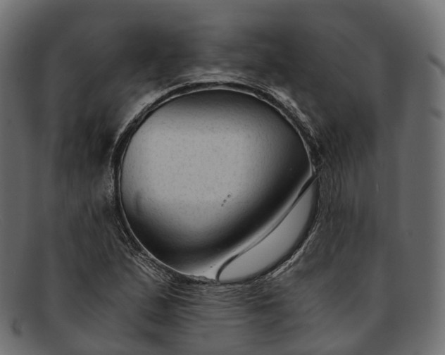 X0000091901167200709191231