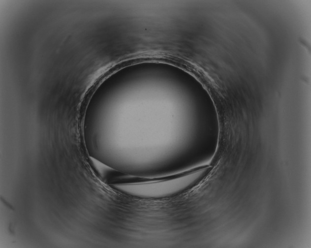 X0000091901168200709191231