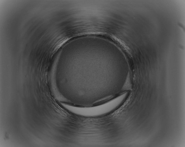 X0000091901169200709191231