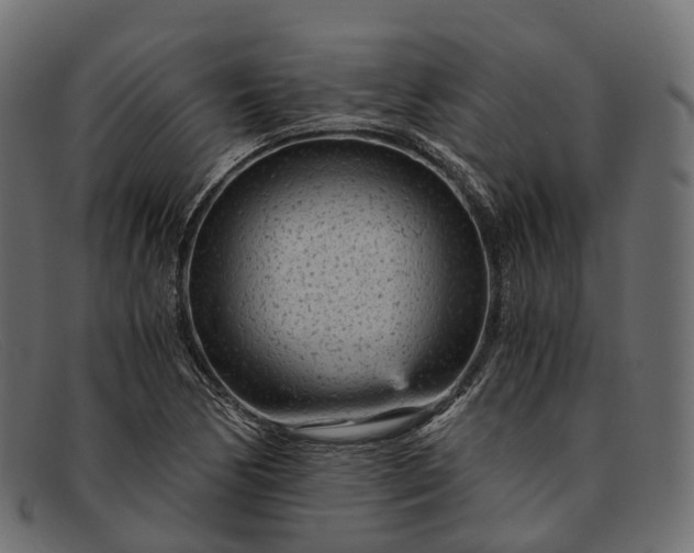 X0000091901170200709191231