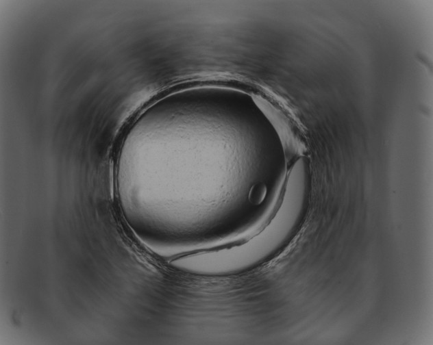 X0000091901171200709191231