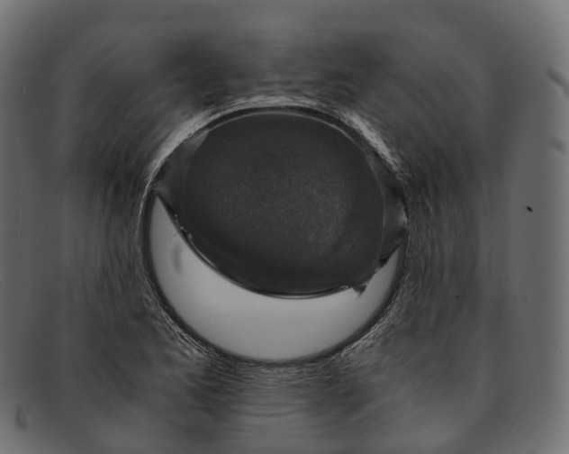 X0000091901173200709191231