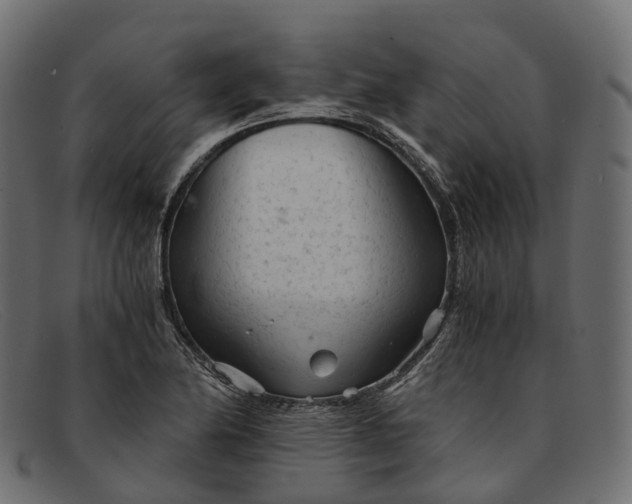 X0000091901174200709191231