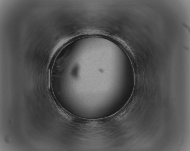 X0000091901175200709191231