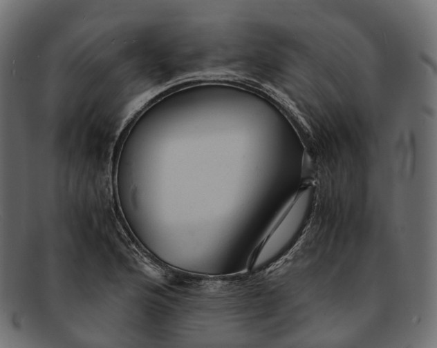 X0000091901176200709191231