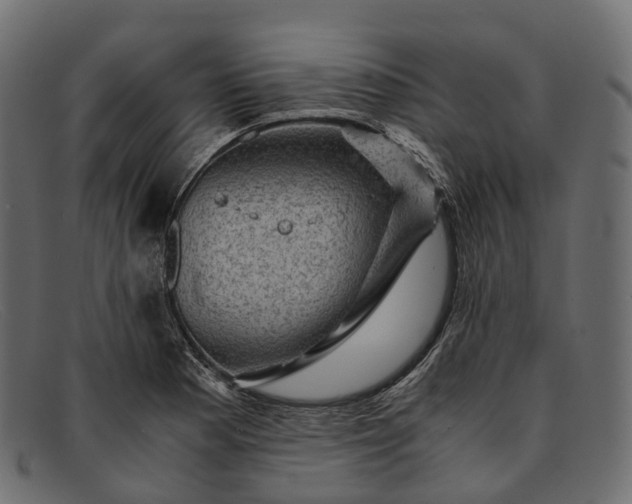 X0000091901177200709191231