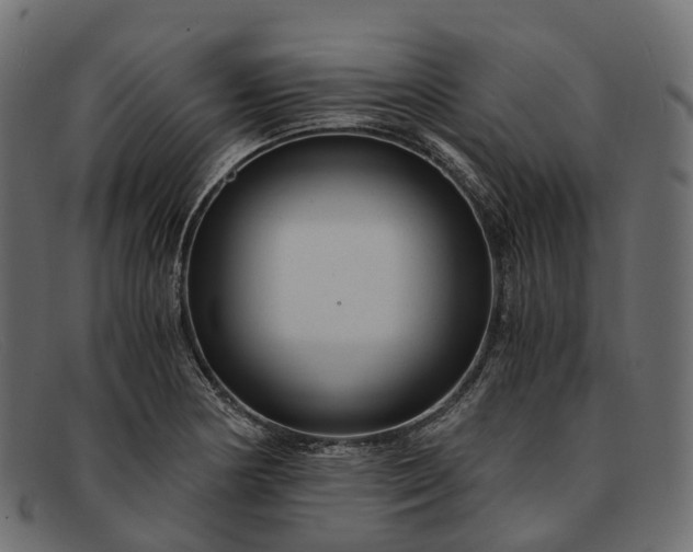 X0000091901178200709191231