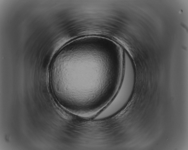 X0000091901179200709191231