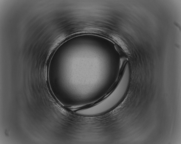 X0000091901180200709191231