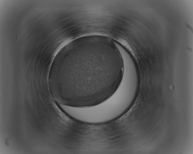 X0000091901181200709191231