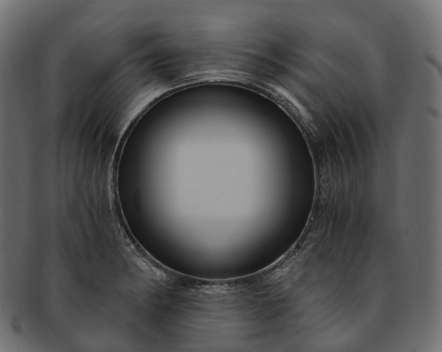 X0000091901182200709191231