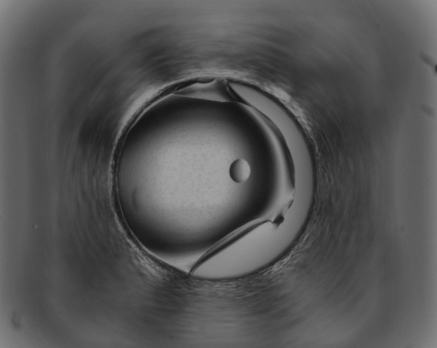 X0000091901183200709191231