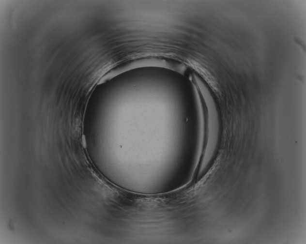 X0000091901185200709191231