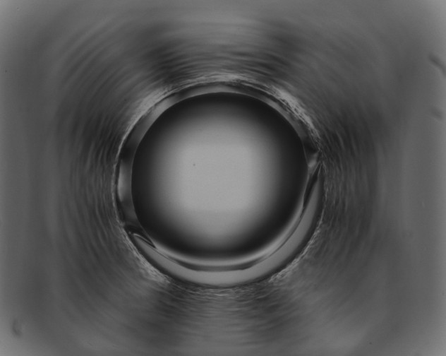 X0000091901186200709191231