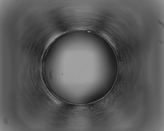 X0000091901187200709191231