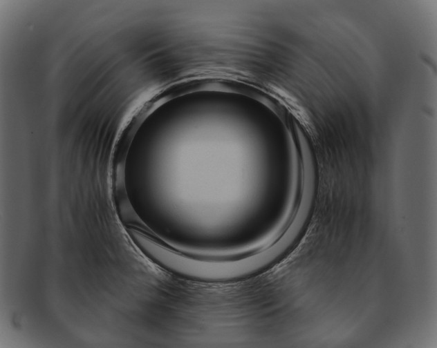 X0000091901188200709191231