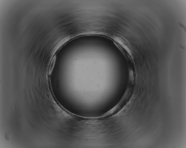 X0000091901189200709191231